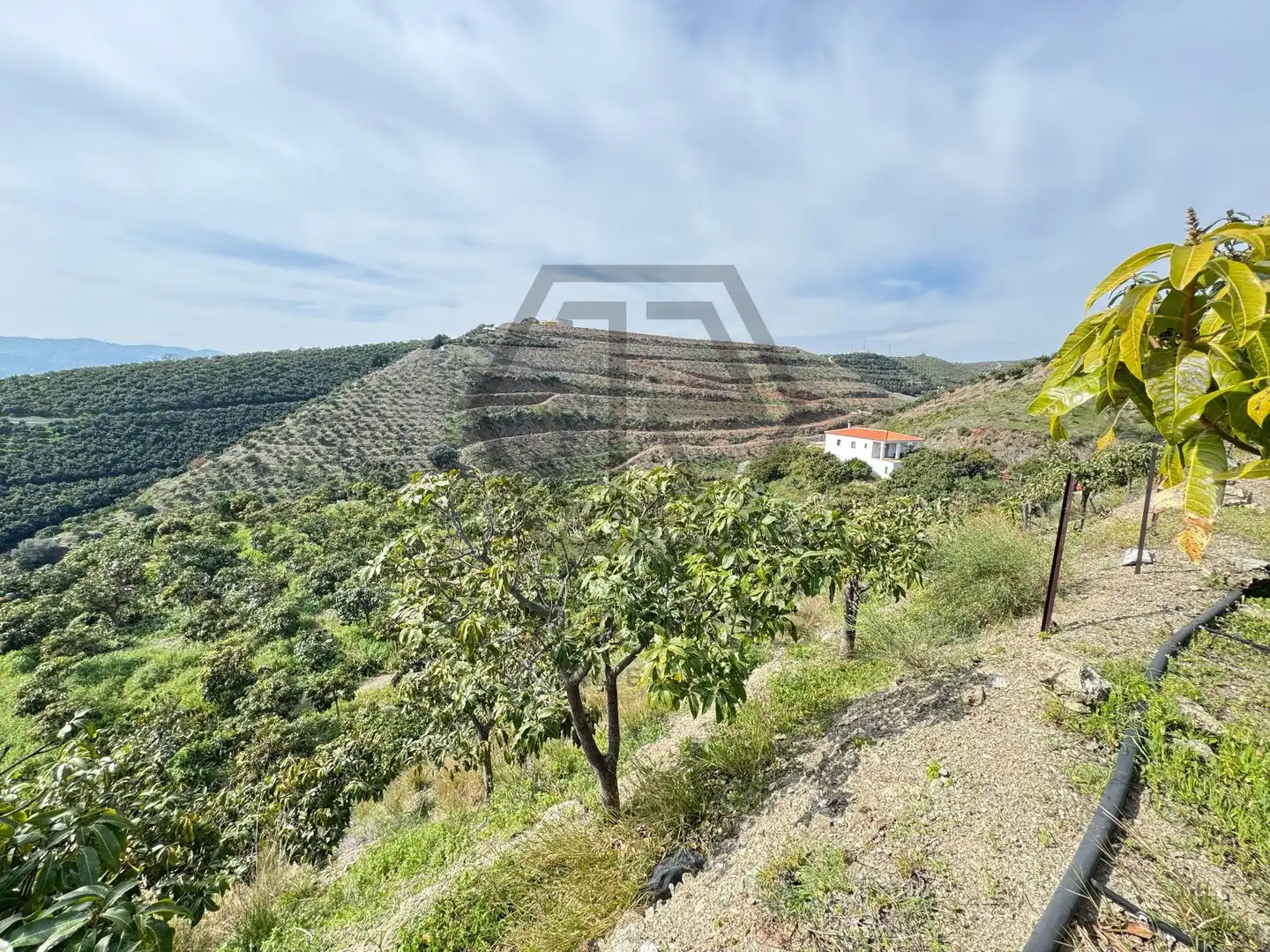 Rustikales Grundstück zum Verkauf in Atalaya Baja, imagen 6