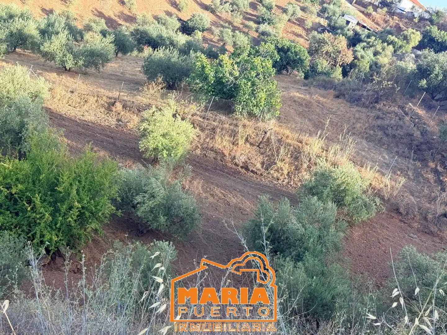 Terreno rustico in vendita a Almogía