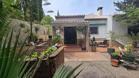 Foto 4 de Finca rústica en venta en N/a, -1, Torrox Pueblo, Torrox