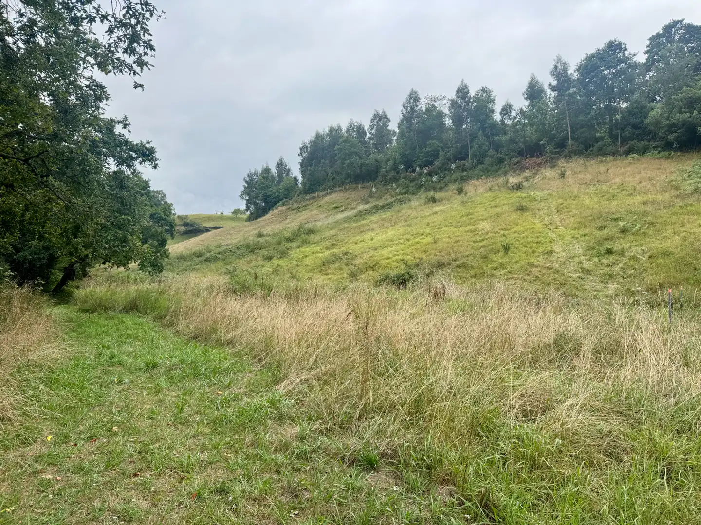 Terreno en venta en Villaviciosa