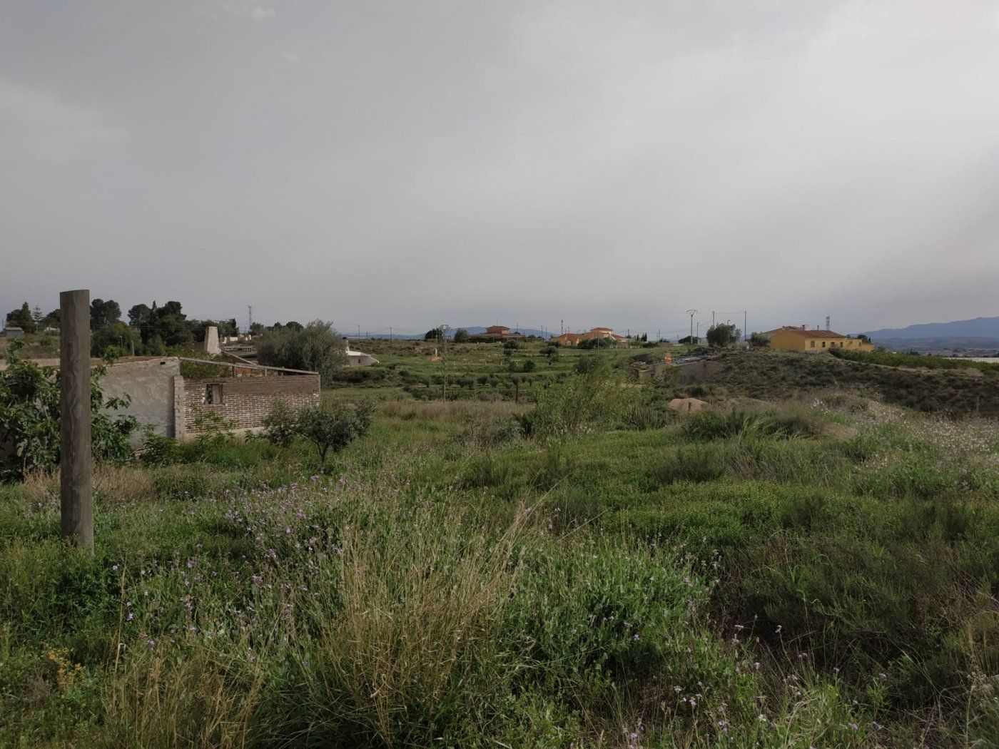 Finca rústica en venda en Molina de Segura amb Jardí privat i Terrassa