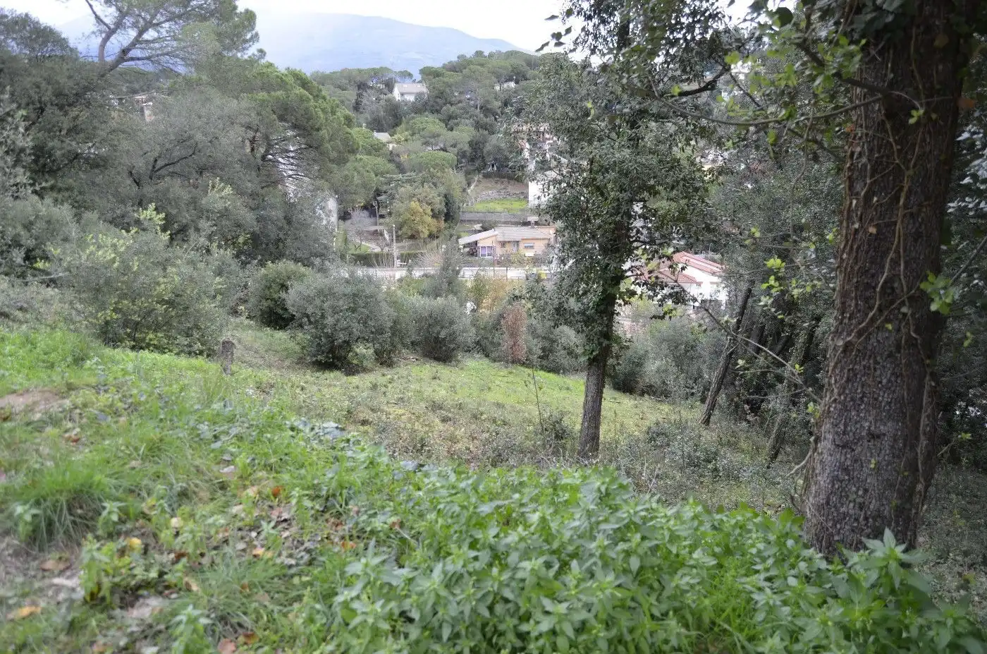 Terreny residencial en venda a Sant Pere de Vilamajor, imagen 3