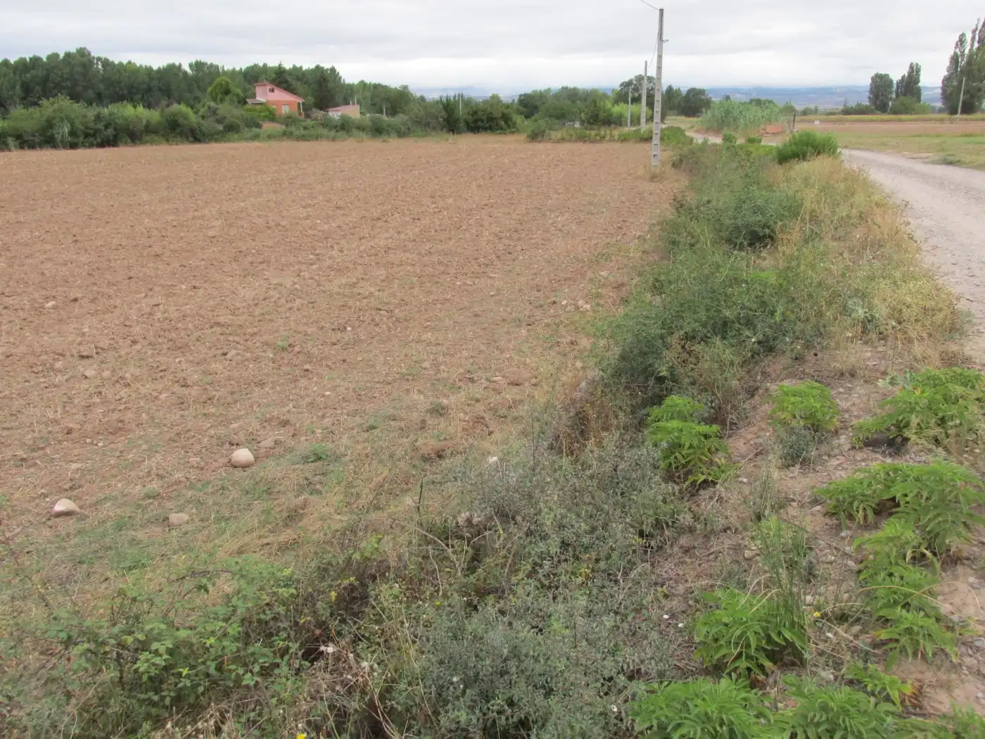 Rural land for sale in Camino Polígono 12