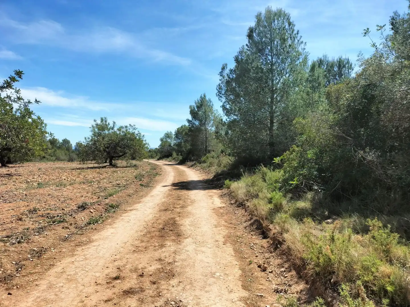 Terreno rustico in vendita a Polígono 10 Parcela 480 LA LOMA. NAVARRES (VALENC 10