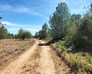 Grundstücke zum verkauf in Navarrés