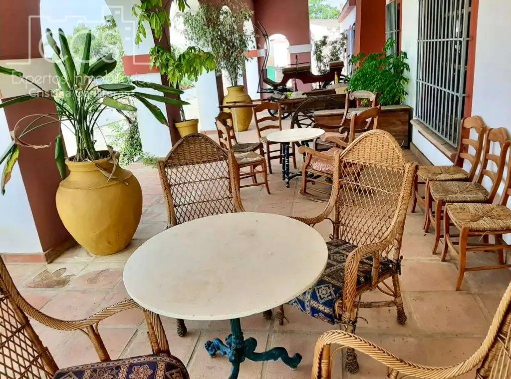 Terraza de Finca rústica en venta en Alcalá de Guadaira con Piscina y Amueblado
