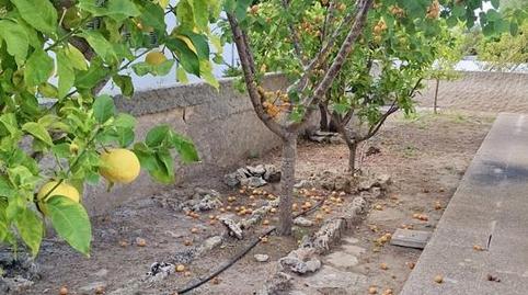 Photo 4 of House or chalet for sale in De Palma, Son Serra de Marina, Illes Balears