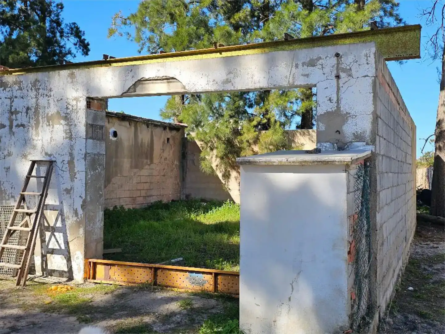 Vista exterior de Pis en venda en Oliva amb Jardí privat