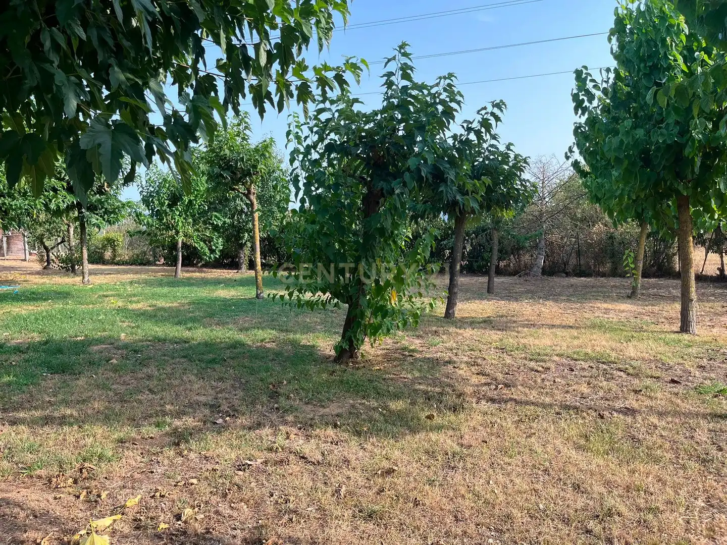 Résidentiel à vendre à LG PANEDES 2(A) Polígono 6 Parcela \1. LLAGOSTERA (GIRONA), imagen 12