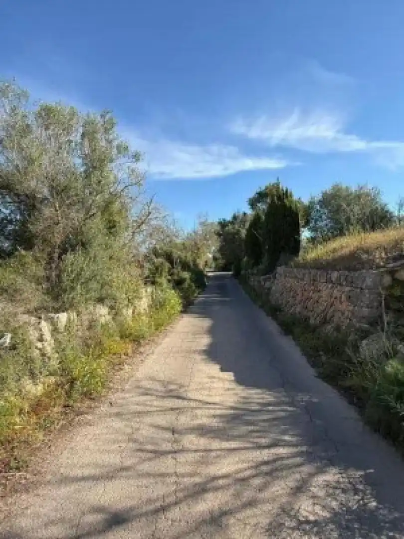Terreny residencial en venda a Llucmajor - Camino d` Alacantí, imagen 5