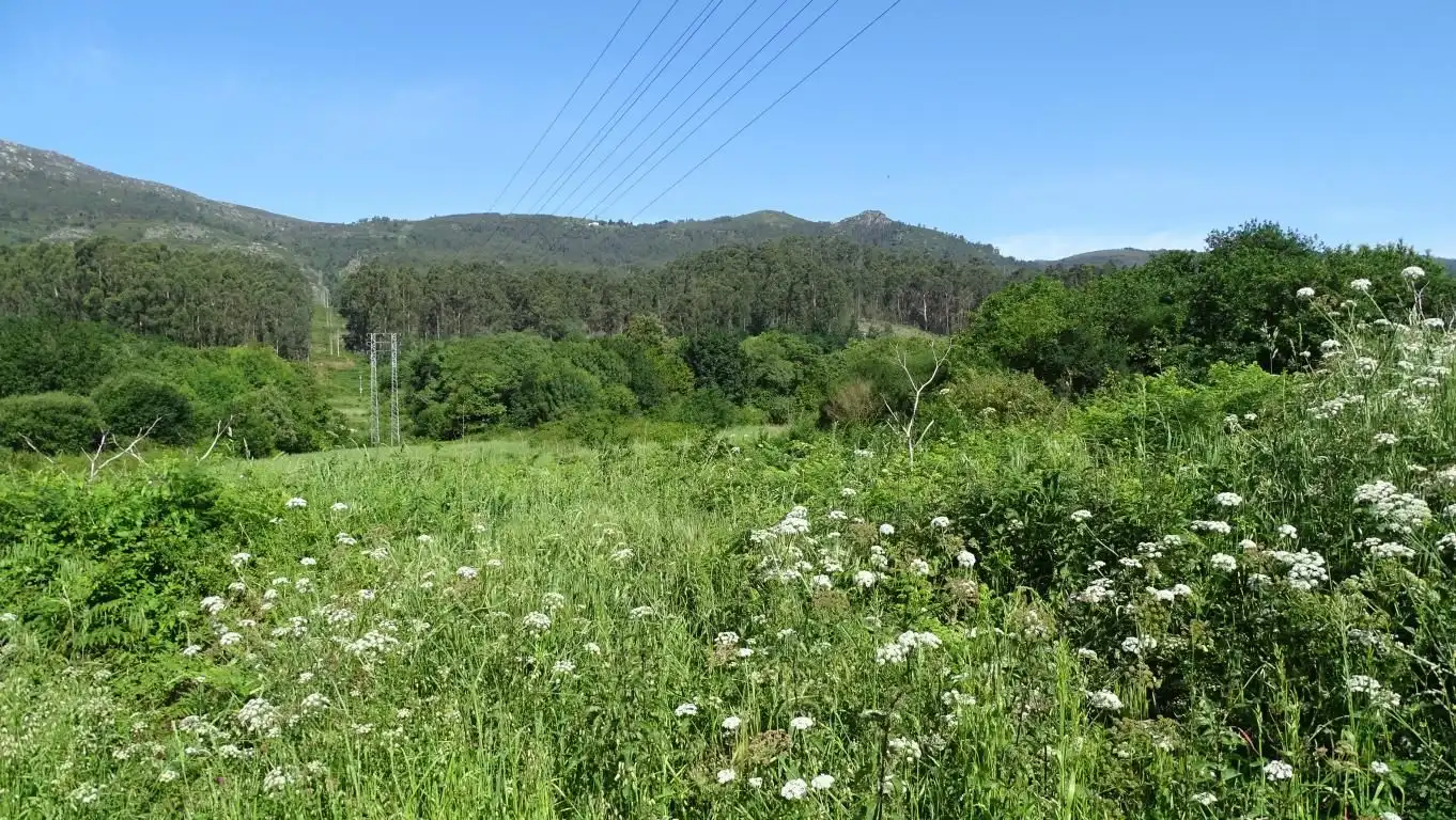 Rustikales Grundstück zum Verkauf in Boiro, imagen 3