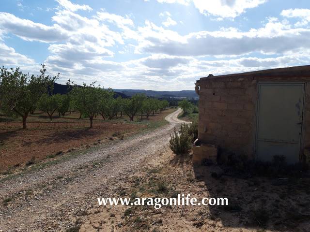 Terreno en Venta en Maella