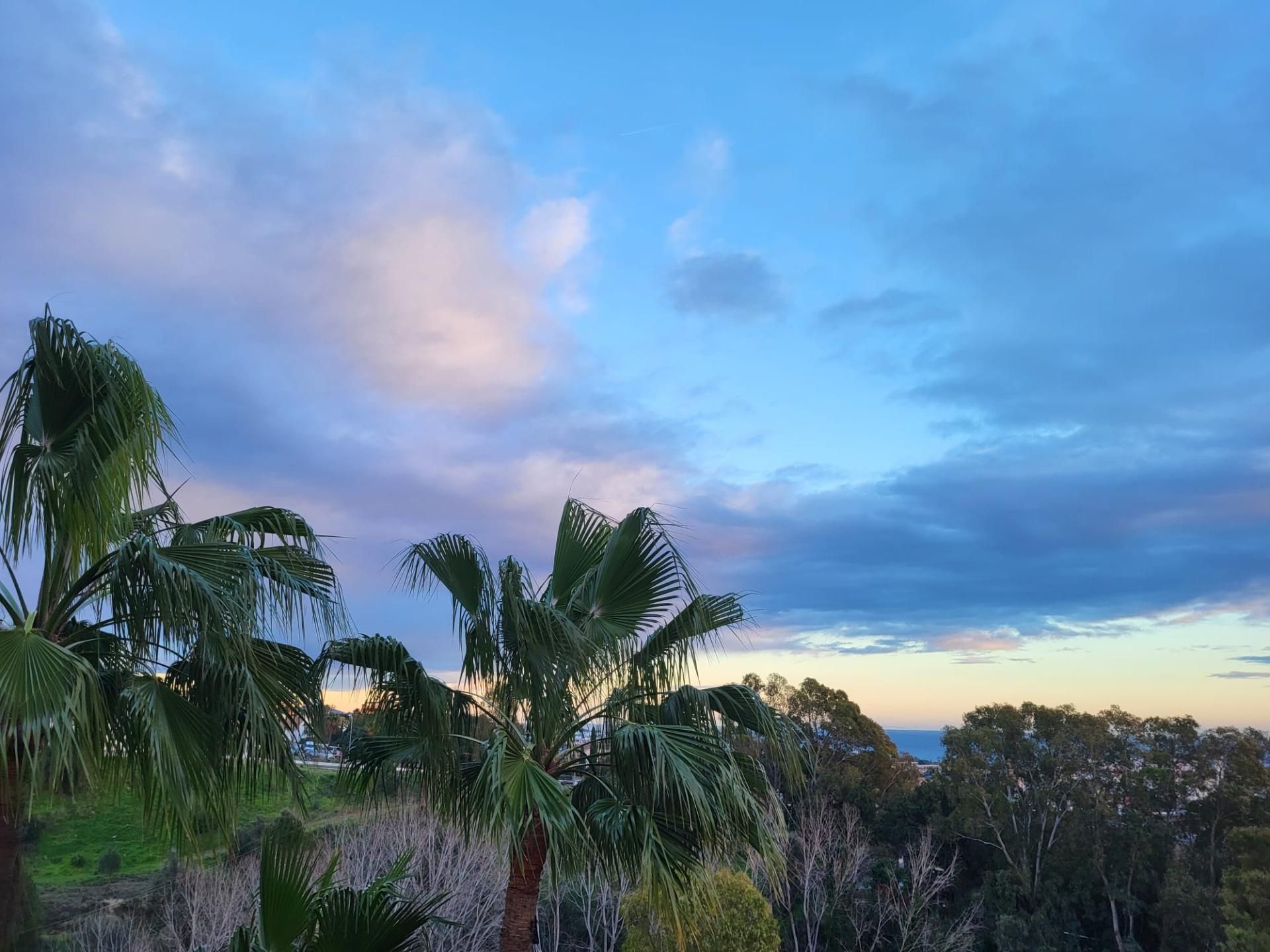 Exterior view of Building for sale in Marbella