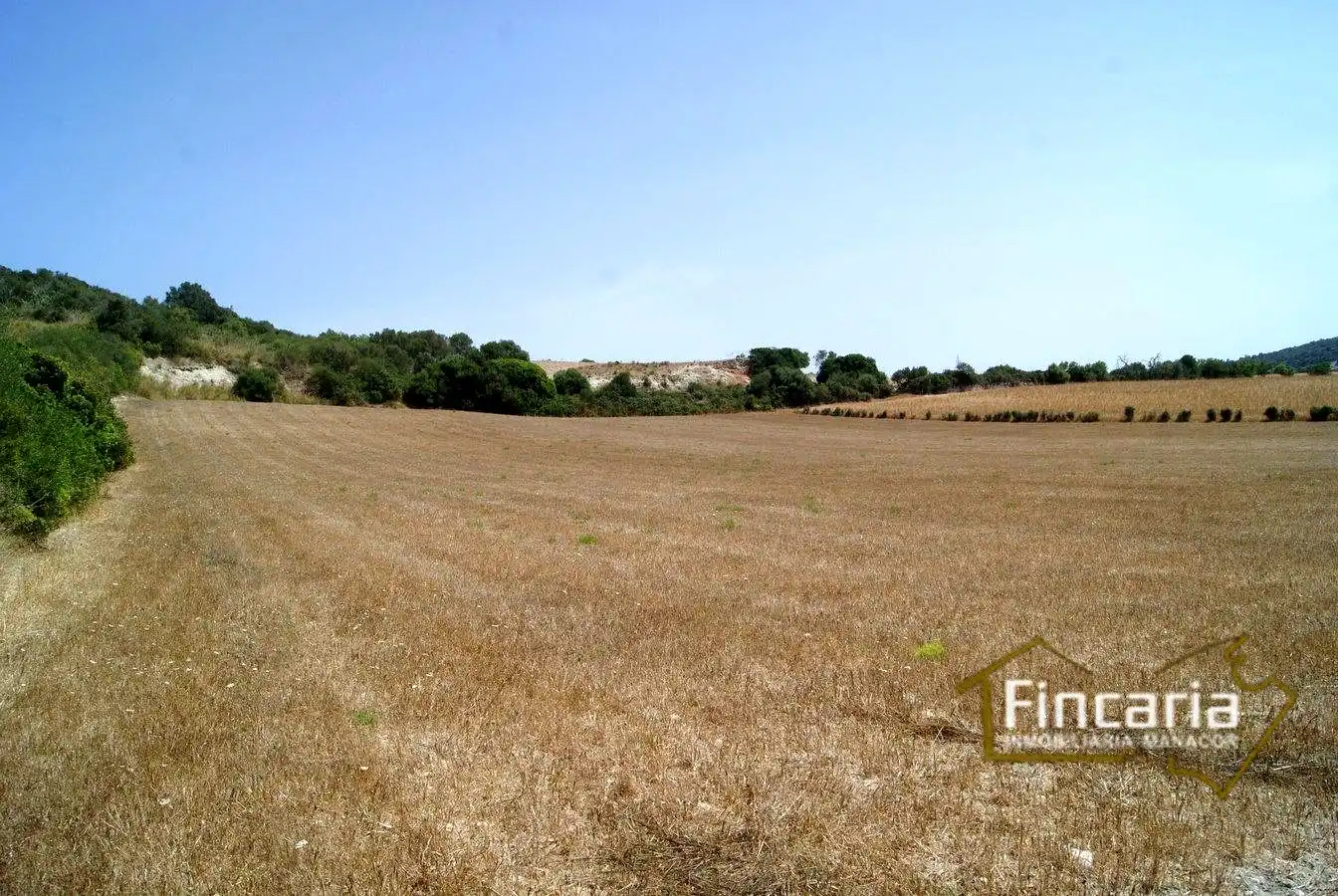 Terrenys i solars en venda a Camí de sa Murtera, imagen 22