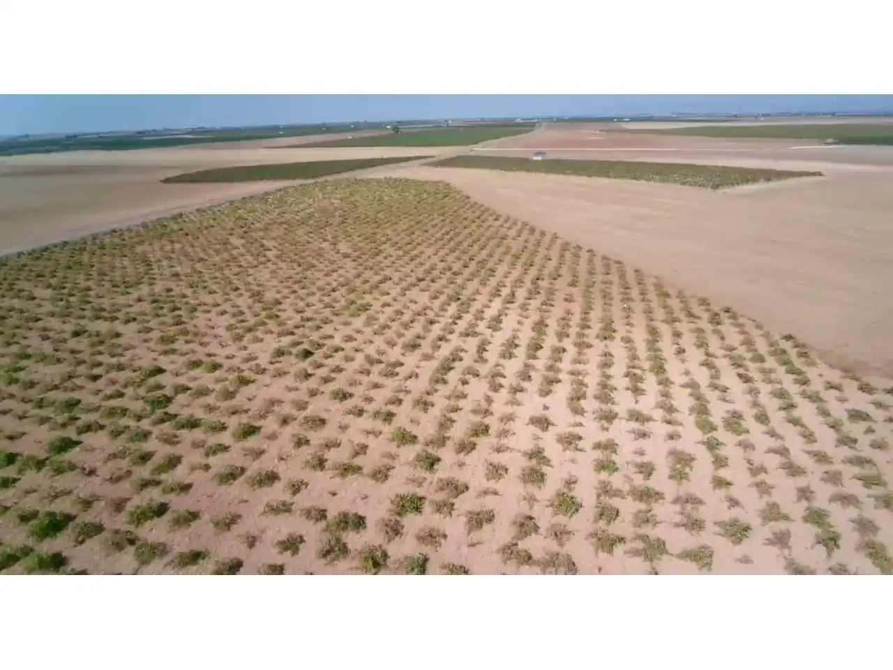 Rural land for sale in Manzanares, imagen 2