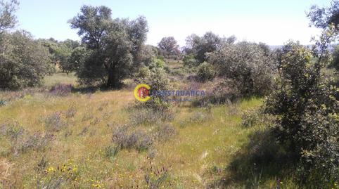 Foto 4 de Residencial en venda a Puerta de Cuartos - Avda. de Portugal, Toledo