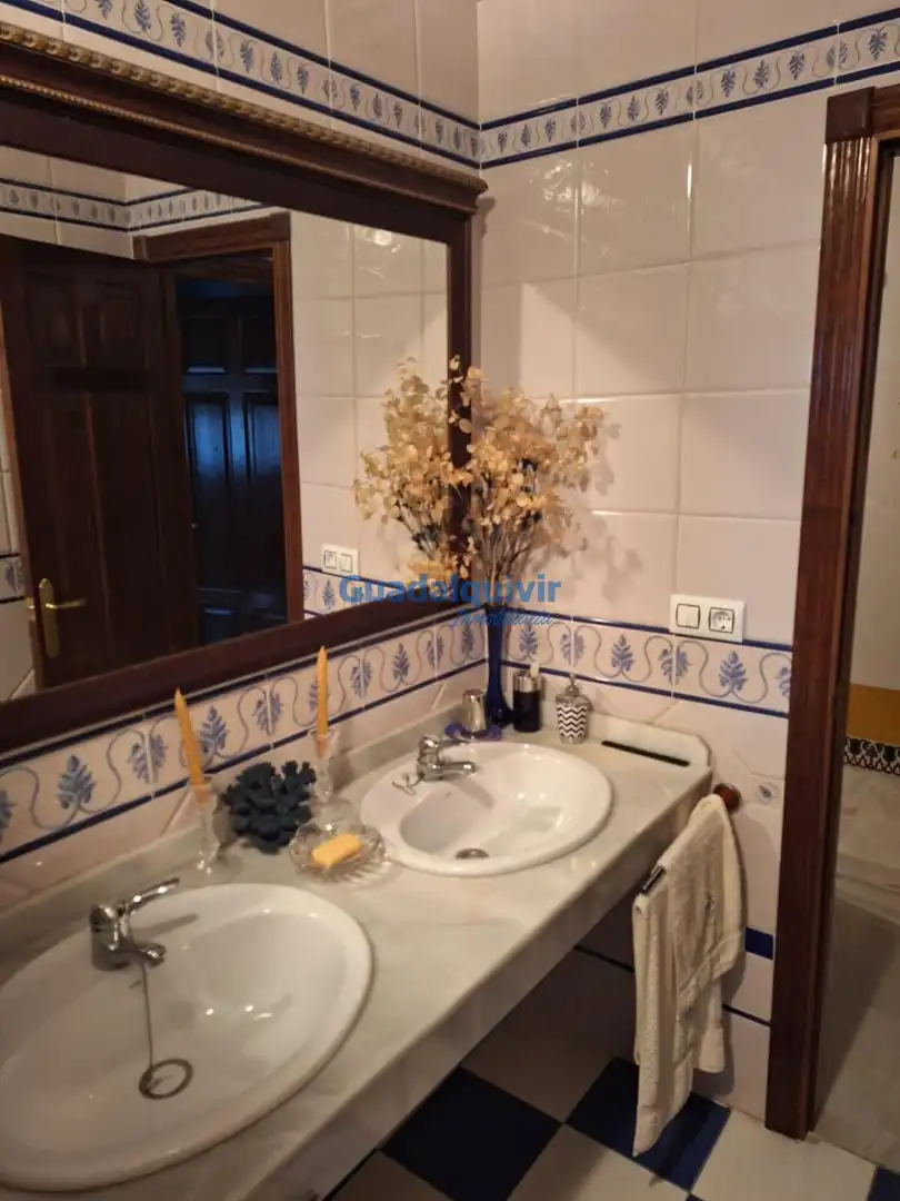 Bany de Casa o xalet en venda en Brenes amb Aire condicionat i Terrassa
