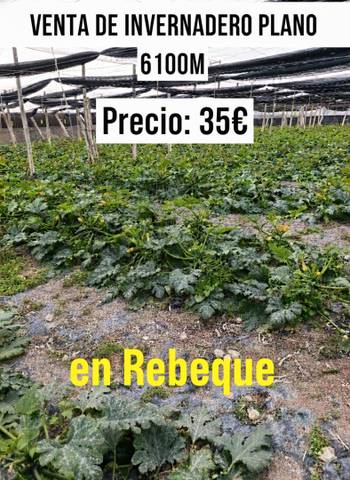 Terreno en Venta en Calle Rebeque, 20 en Ejido Norte