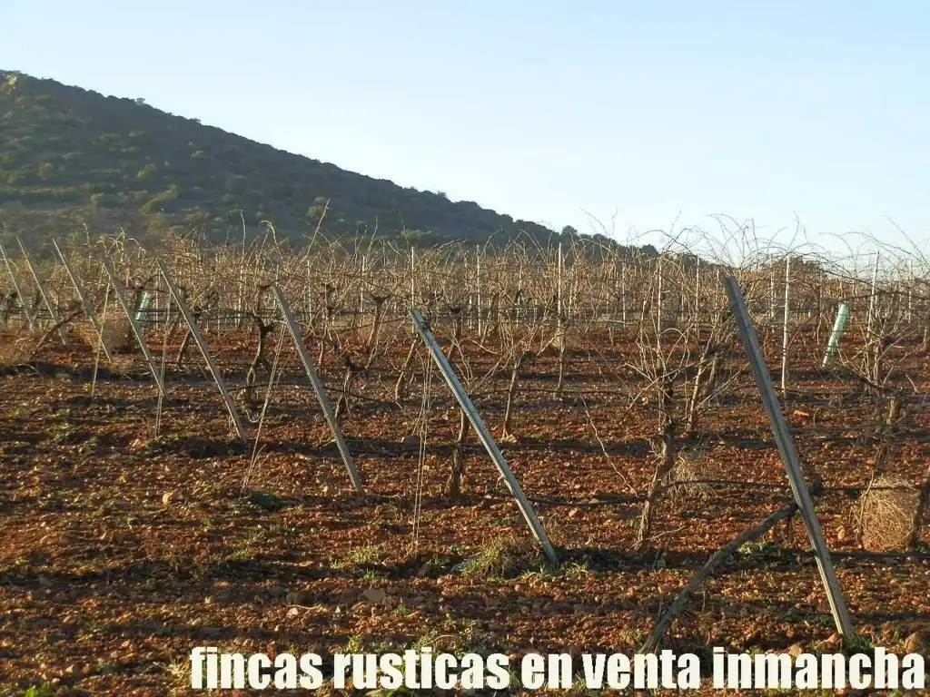Terreno rústico en venta en Moral de Calatrava, imagen 9