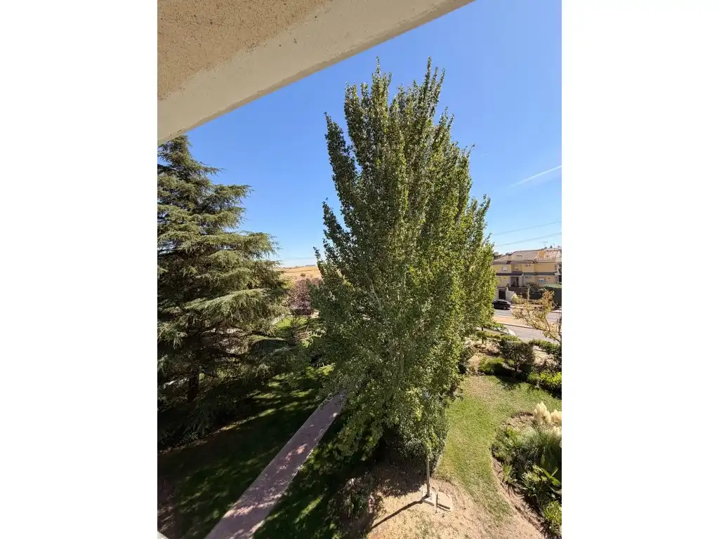 Jardí de Àtic de lloguer en Parque Coimbra