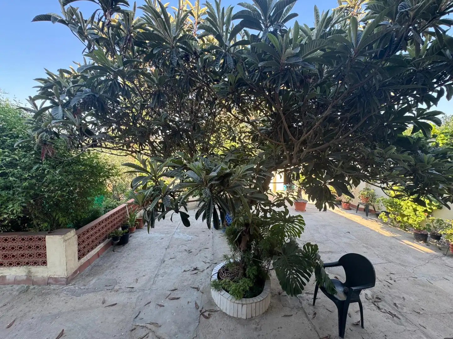 Terraza de Finca rústica en venta en Dos Hermanas