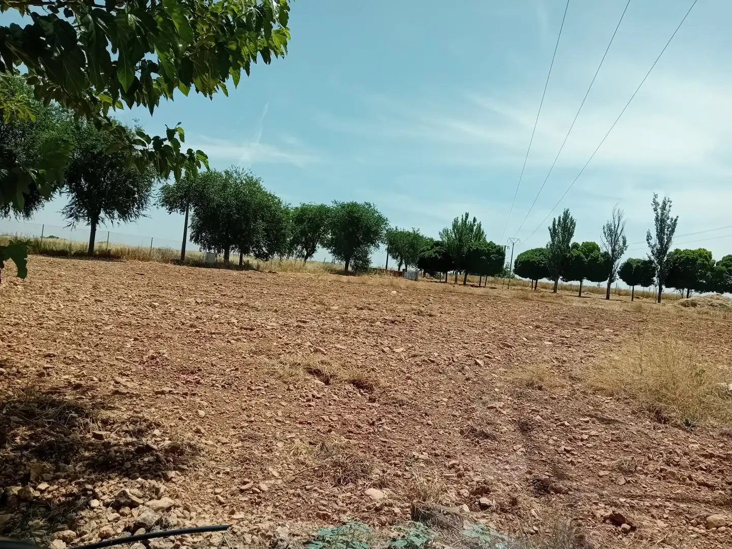 Xalet amb terrassa en venda a Pozuelo de Calatrava, imagen 63