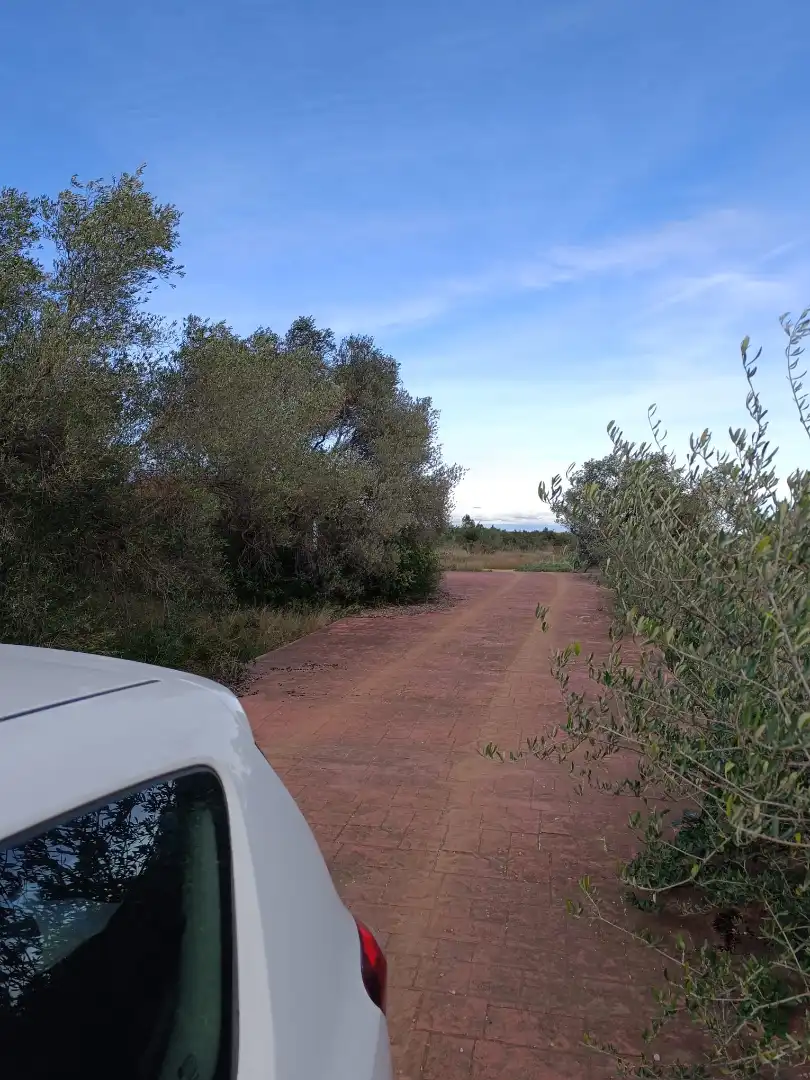 Terreno rustico in vendita a Canet lo Roig, imagen 3