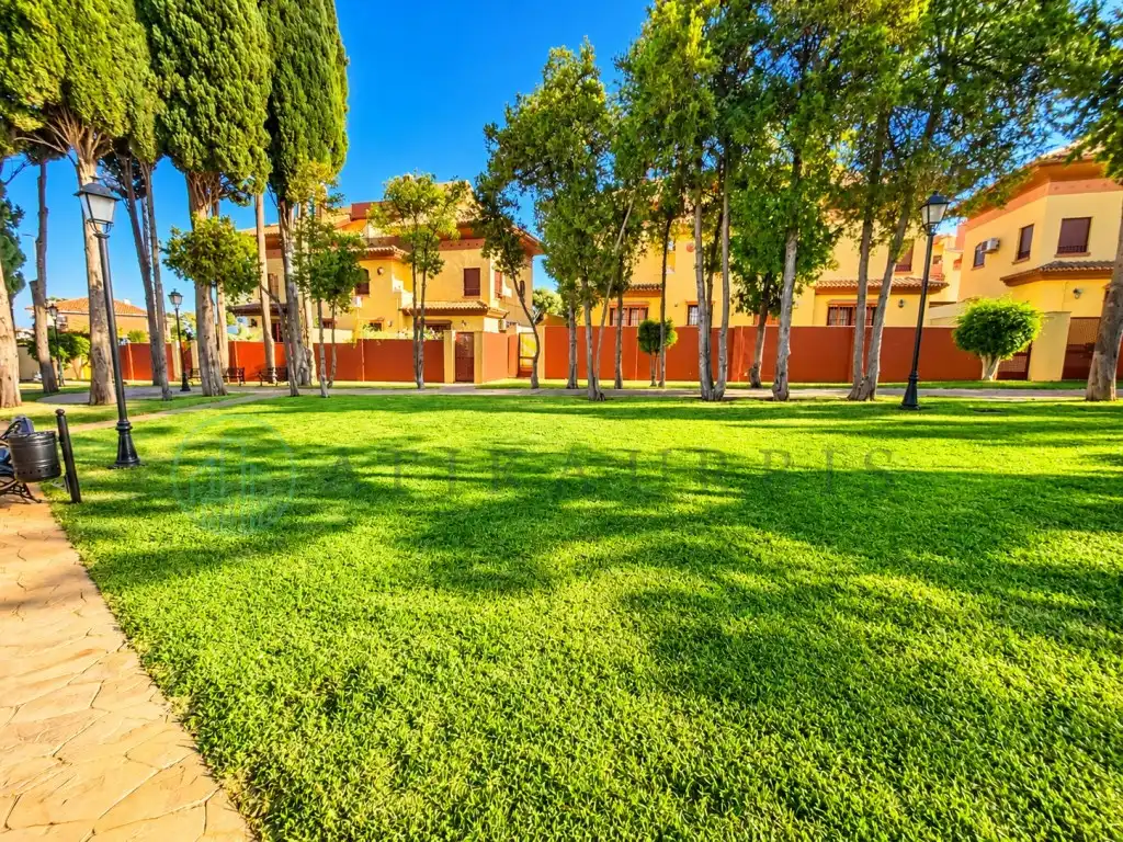 Exterior view of Detached homes for sale in Churriana
