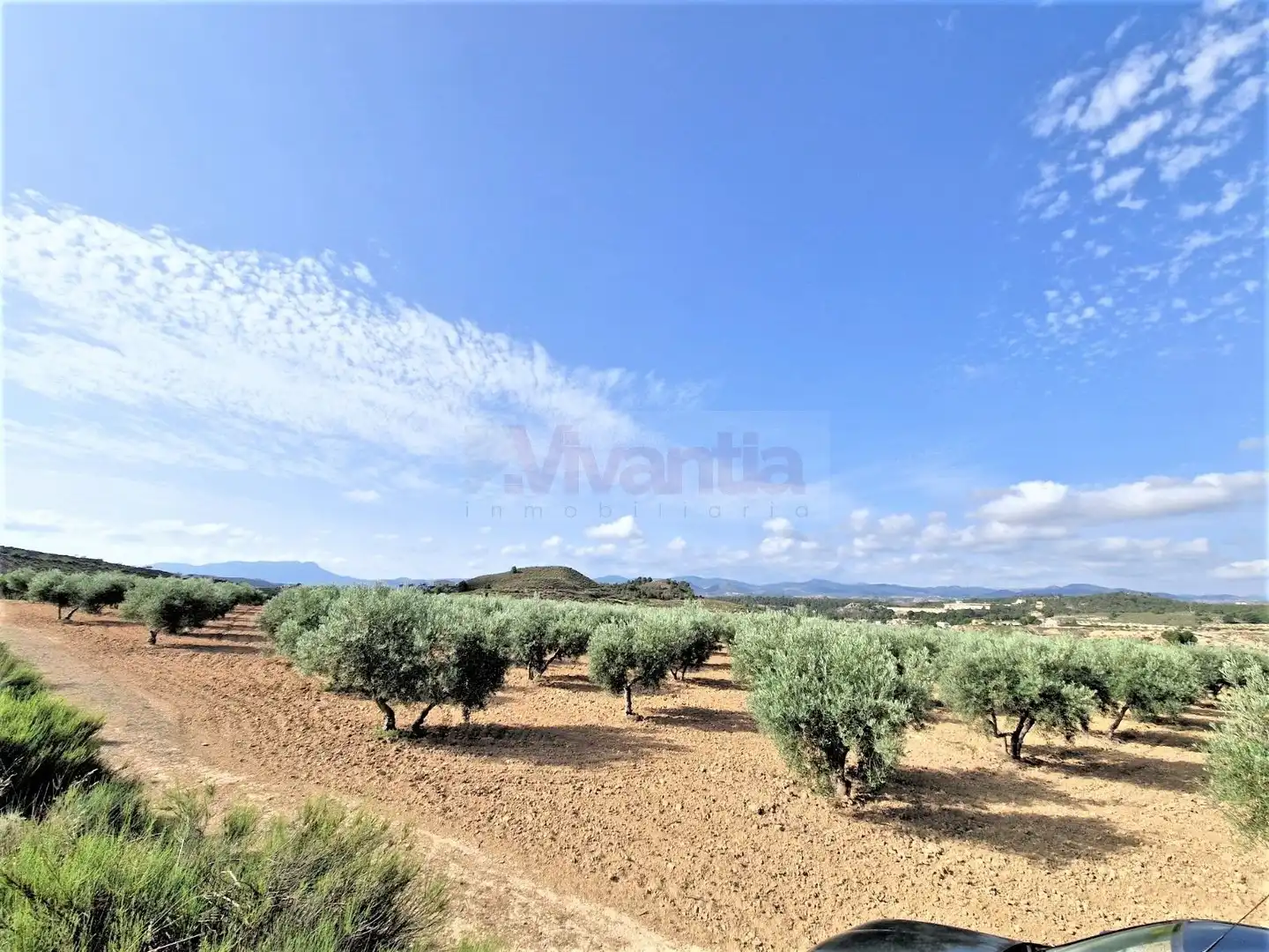 Casa o chalet en venta en Lorca