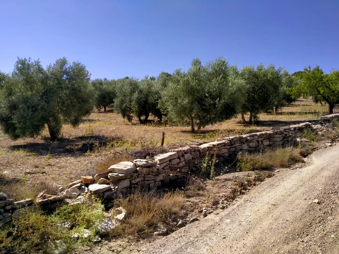 Rural land for sale in Calle Medina del Campo, imagen 22