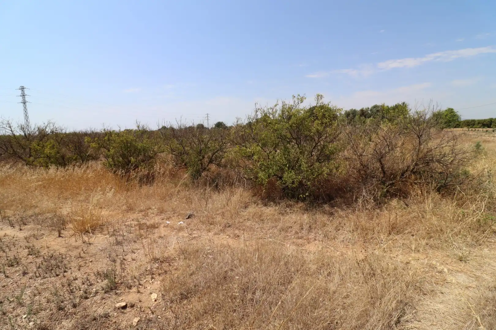 Terreno rustico in vendita a Alcanar, imagen 4