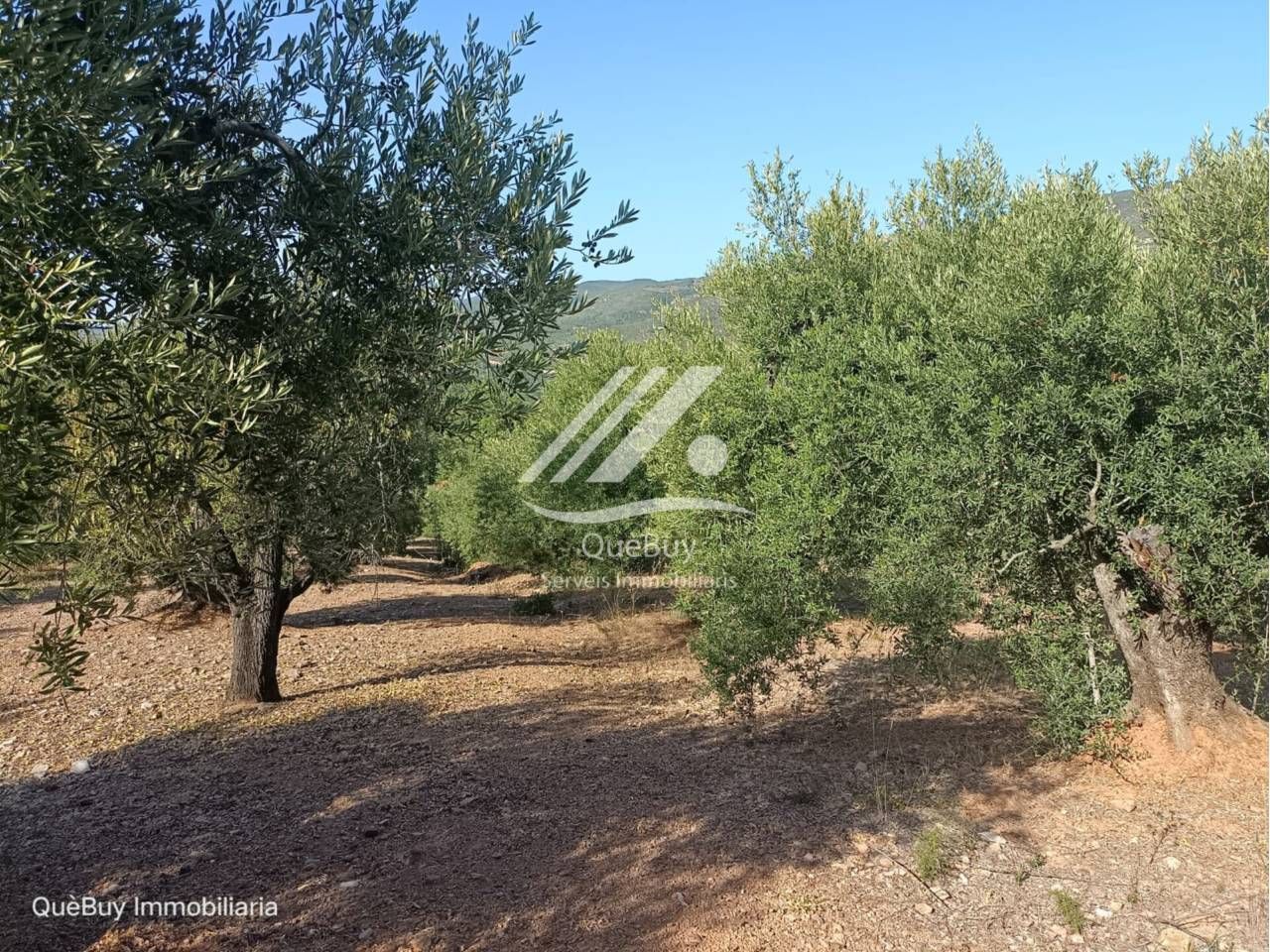 Land for sale in Valls