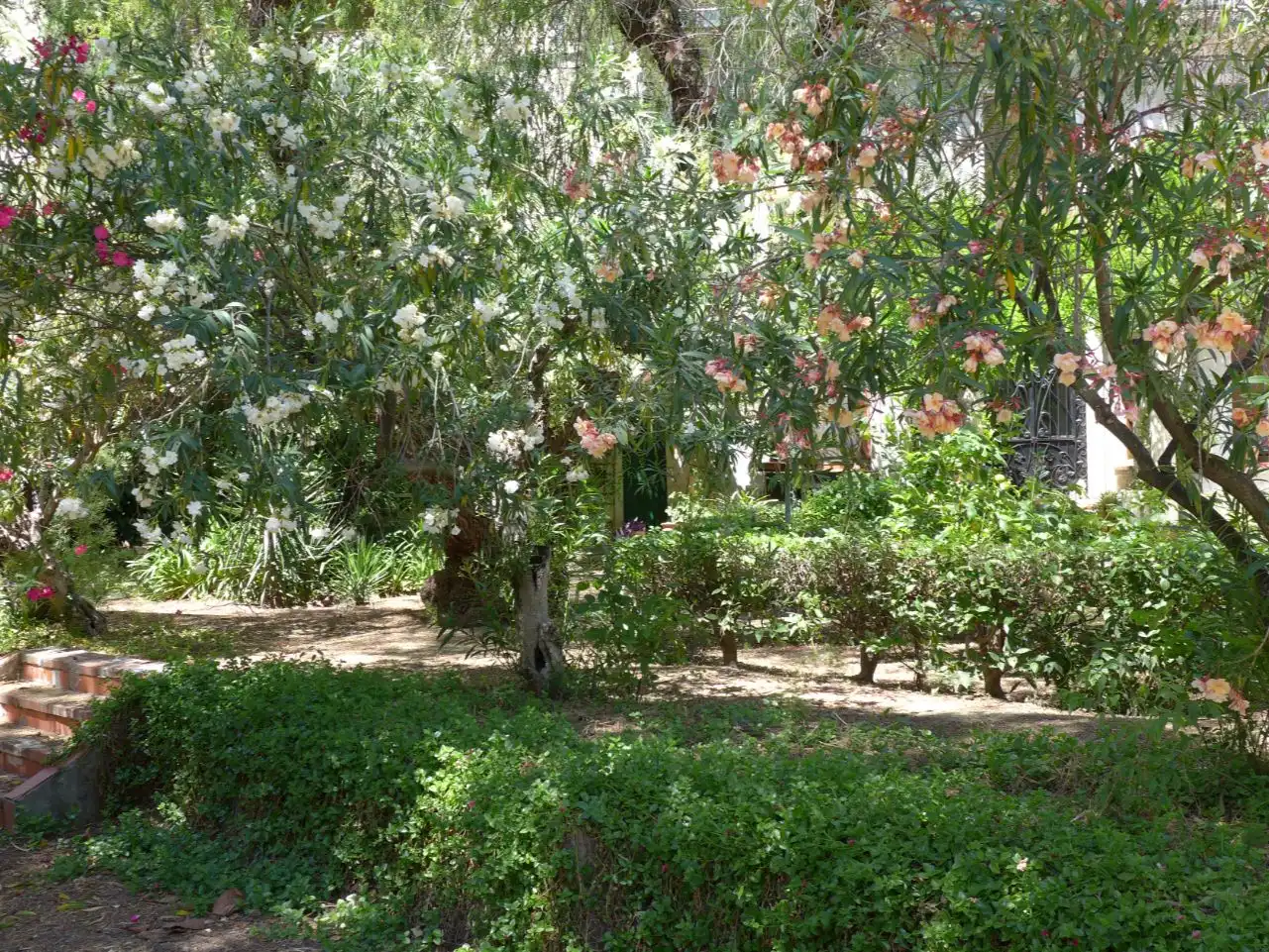 Haus mit Garten zum Verkauf in PASSEIG DEL COMTAT 21, imagen 30