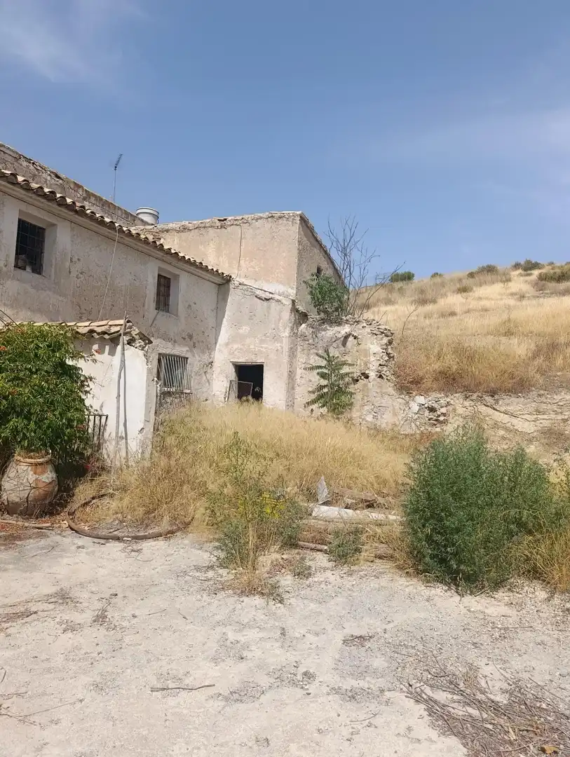 Rural land for sale in Cehegín, imagen 4