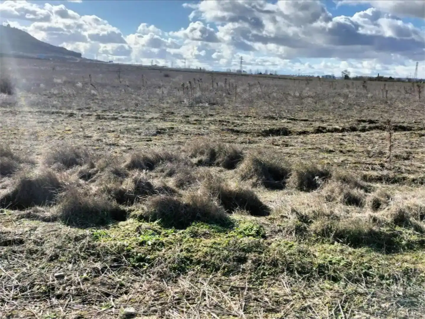 Terreno en venta en Sevilla