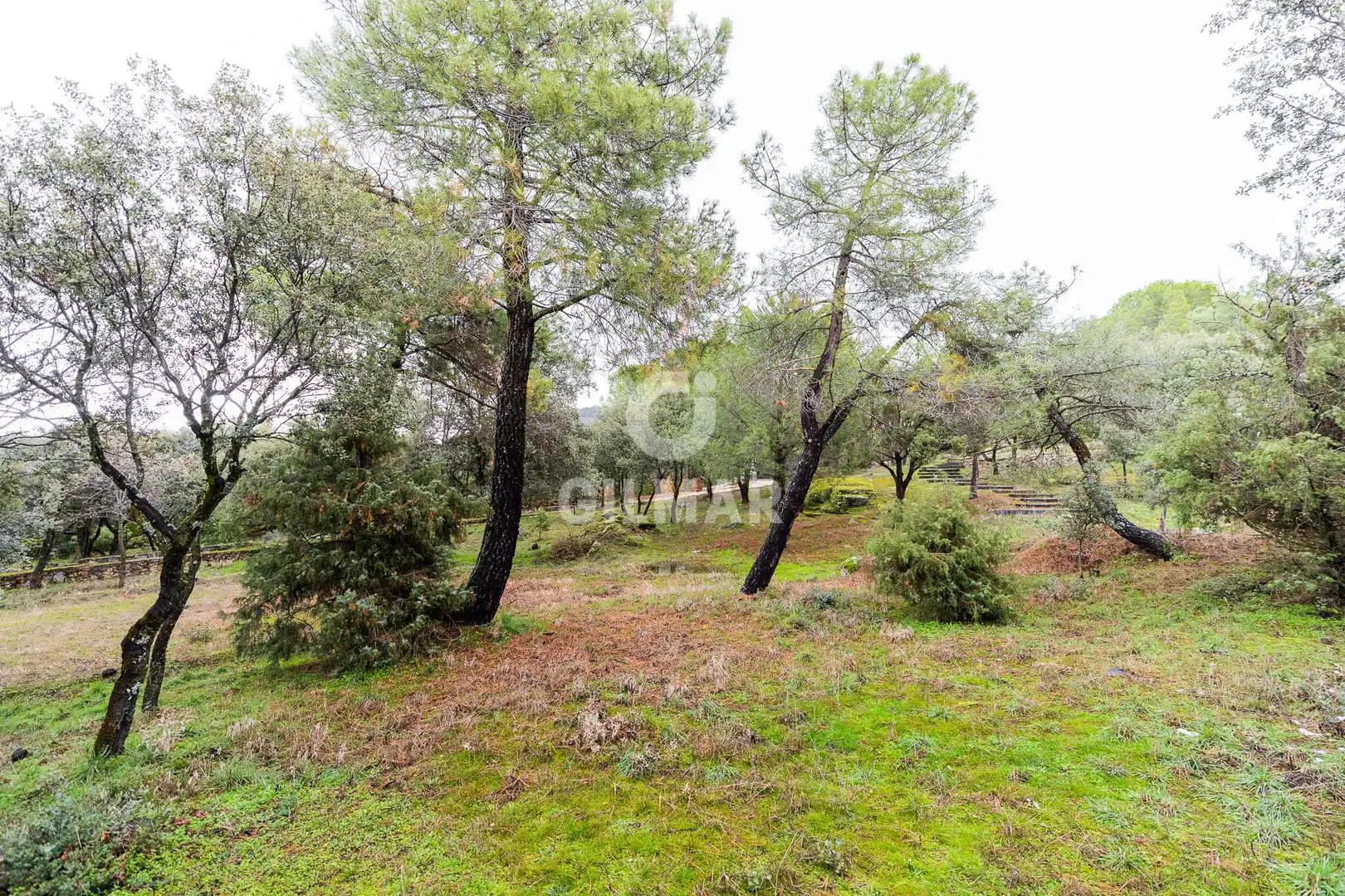 Casa o xalet en venda en Collado Villalba amb Calefacció i Jardí privat