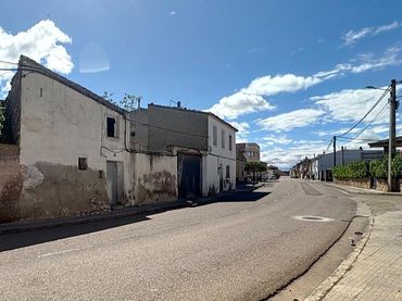House with garden for sale in Avda de la Constitucion