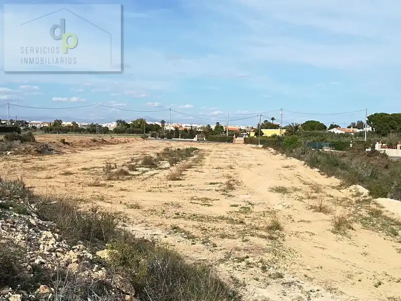 Terreno rustico in affitto a Camino del Cementerio 183, imagen 7