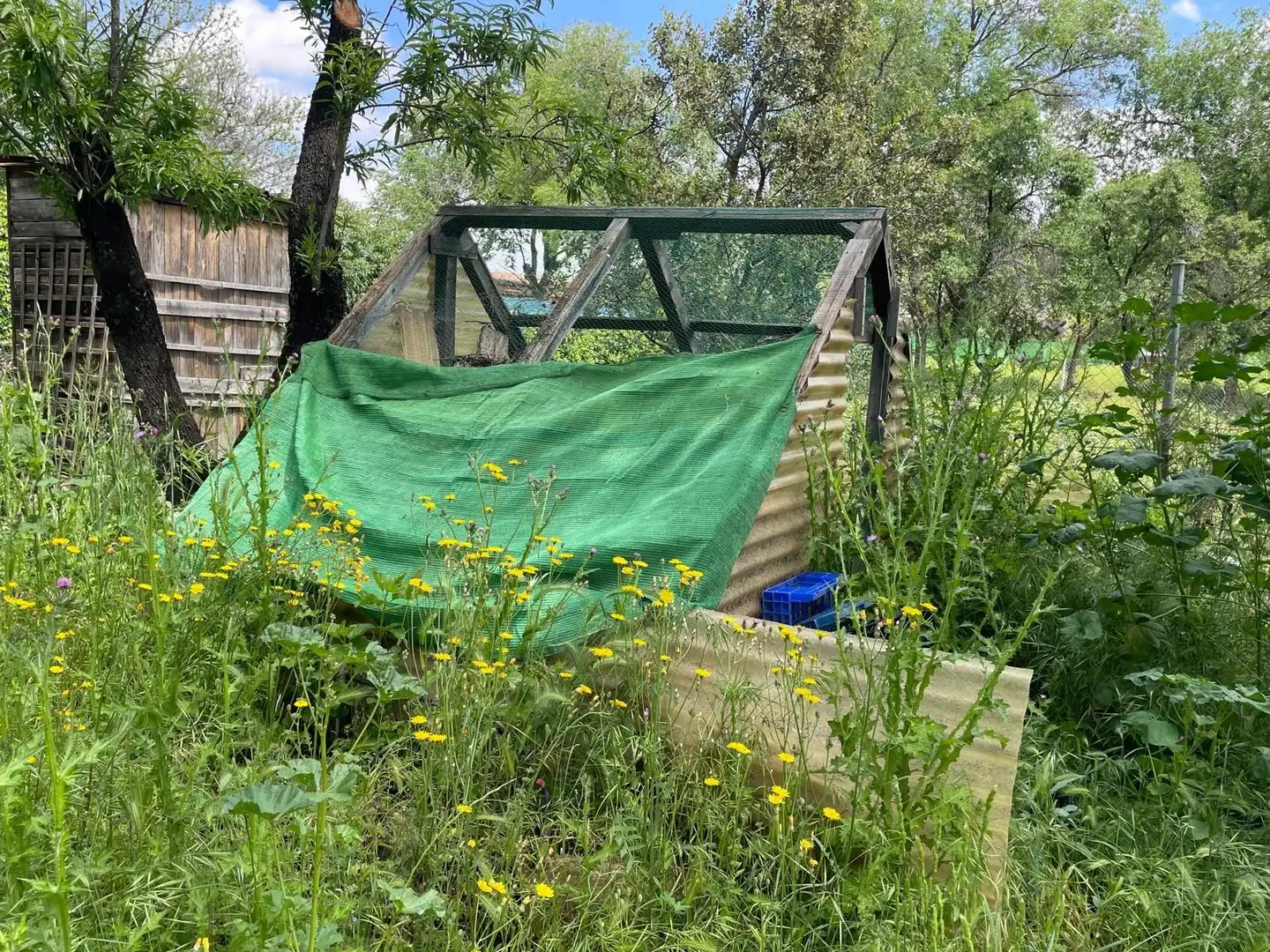Jardí de Finca rústica en venda en Carrión de Calatrava amb Calefacció, Terrassa i Traster