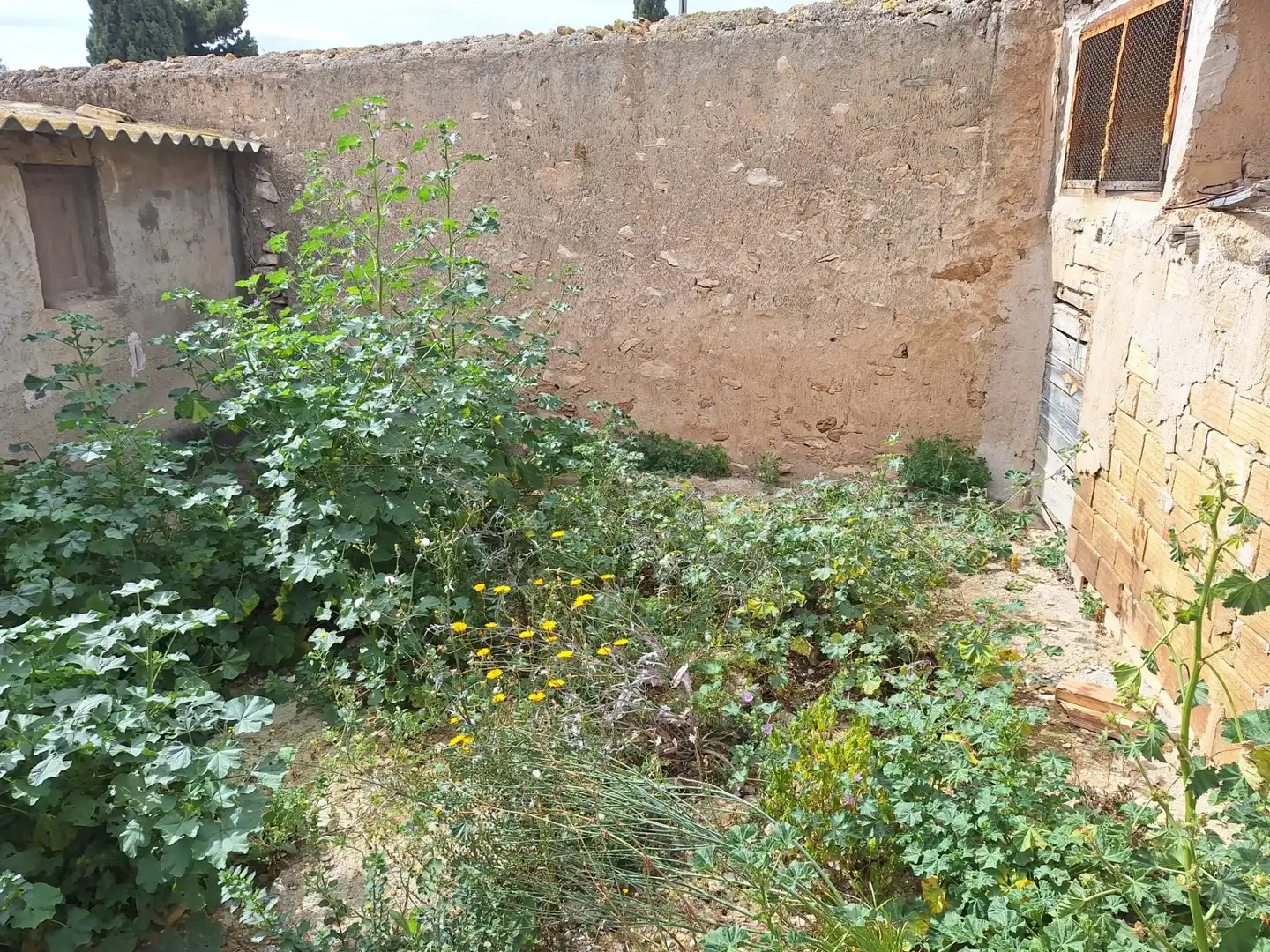 Finca rústica en venta en El Verdegàs