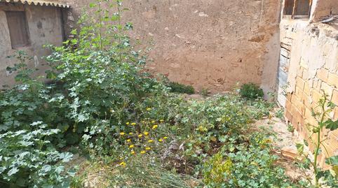 Foto 3 de Finca rústica en venda a El Verdegàs, Alicante / Alacant