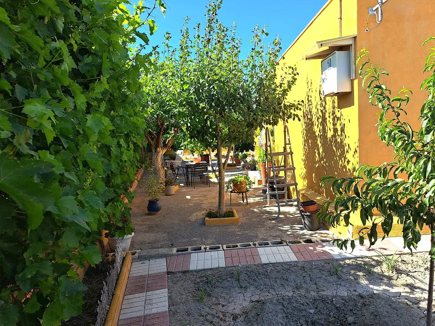 Terreno rústico en venta en Chauchina, imagen 11
