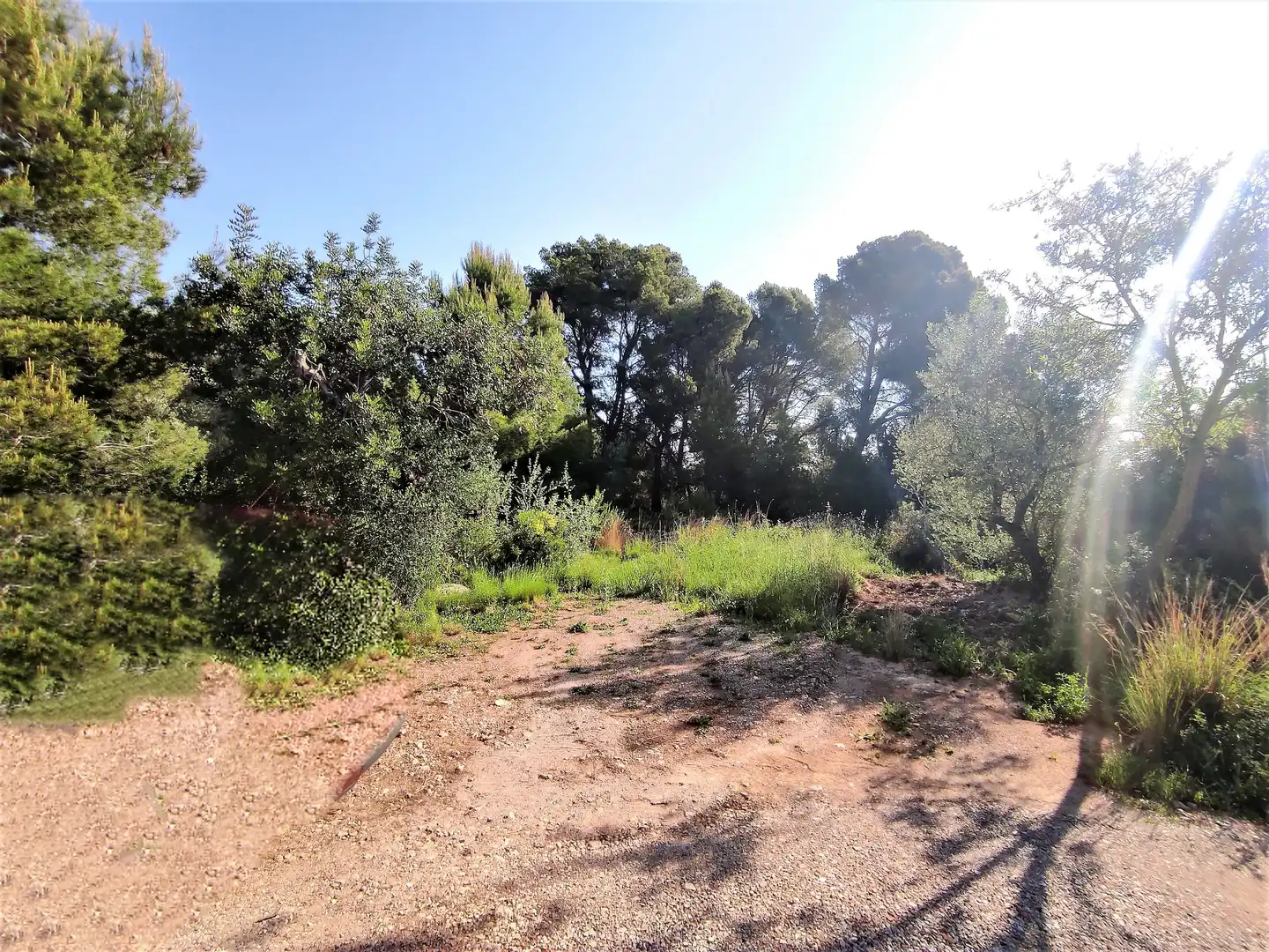Rural land for sale in Alcanar, imagen 9
