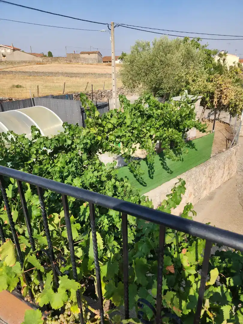 Jardín de Piso en venta en Alfaraz de Sayago con Jardín privado, Piscina y Amueblado