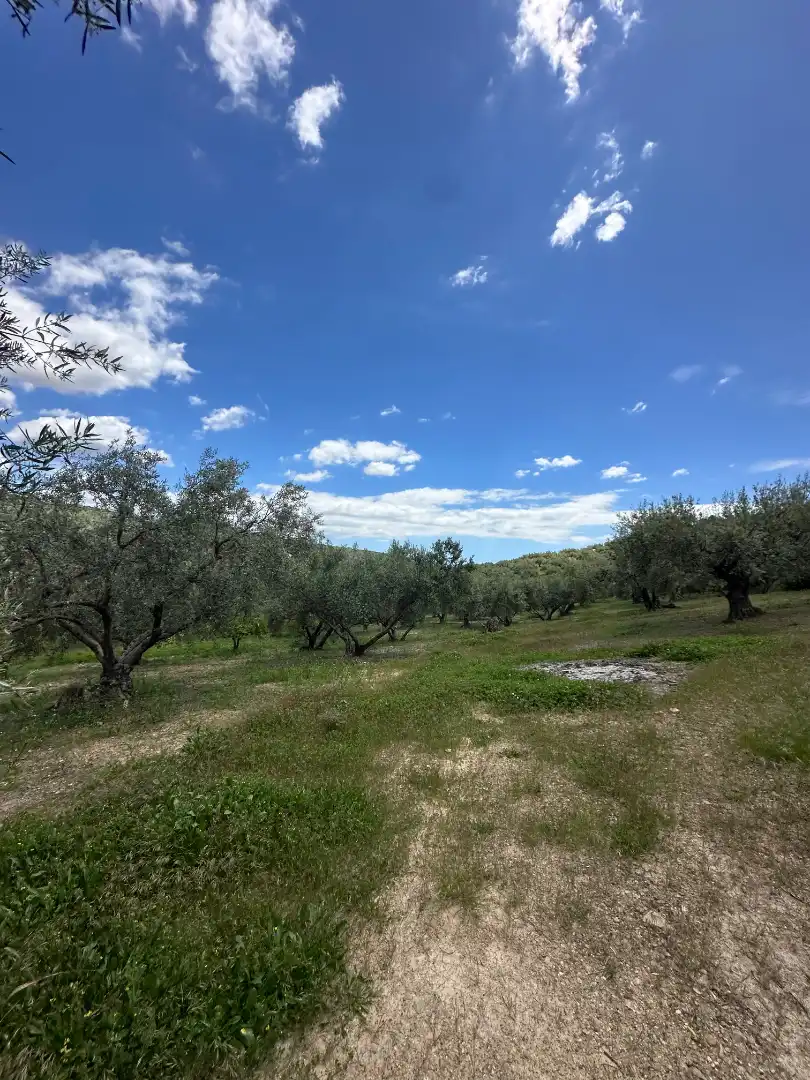 Terreni e lotti in vendita a Periana, imagen 40