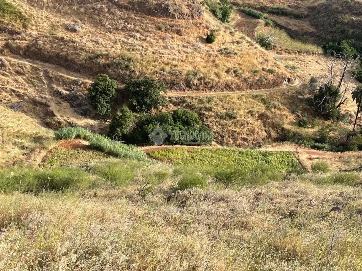 Terreno en venta en Gáldar