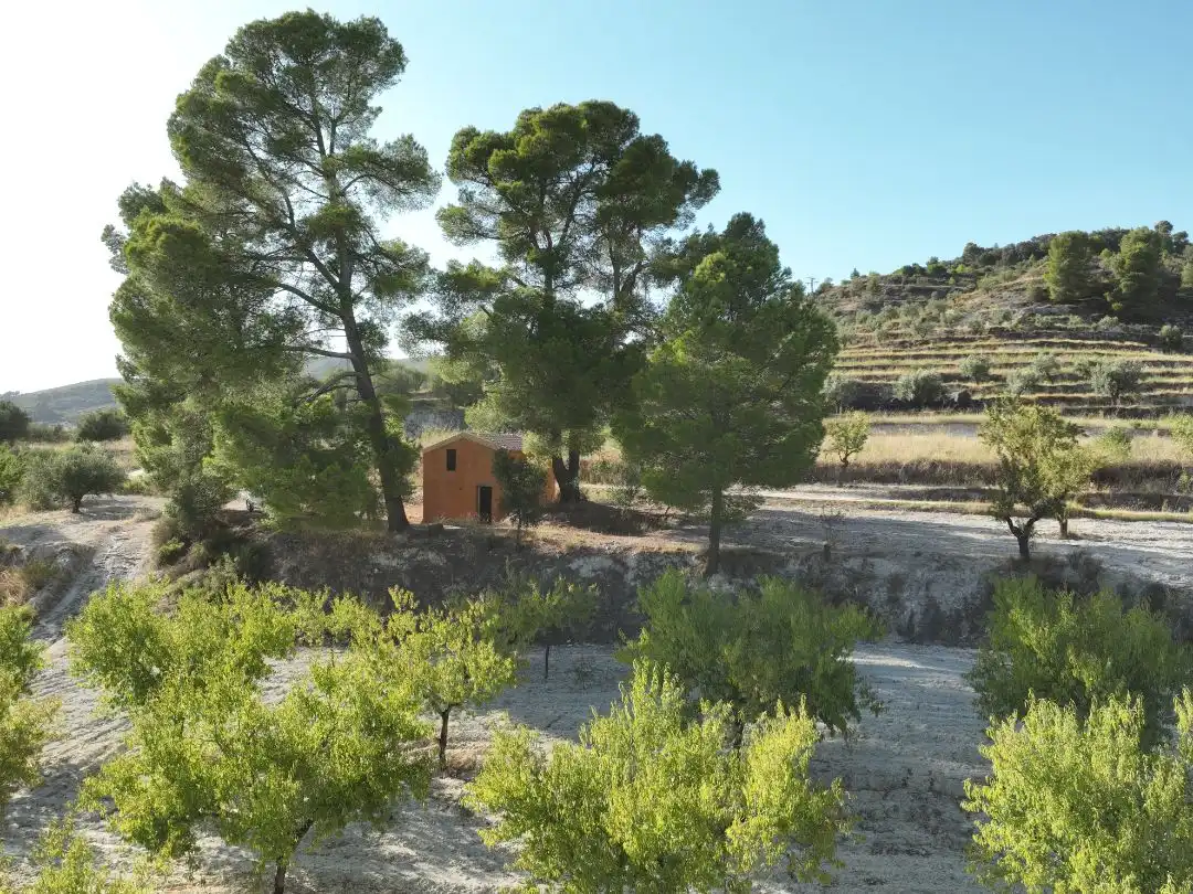 Jardín de Terreno en venta en Balones