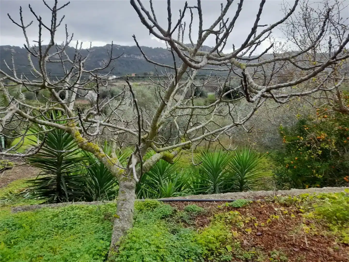 Jardí de Finca rústica en venda en Llocnou de Sant Jeroni amb Jardí privat, Piscina i Moblat