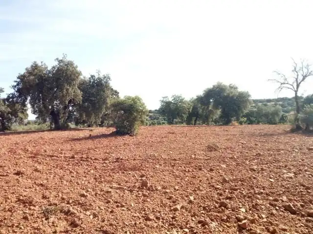 Terreny residencial en venda a Villanueva del Duque, imagen 23