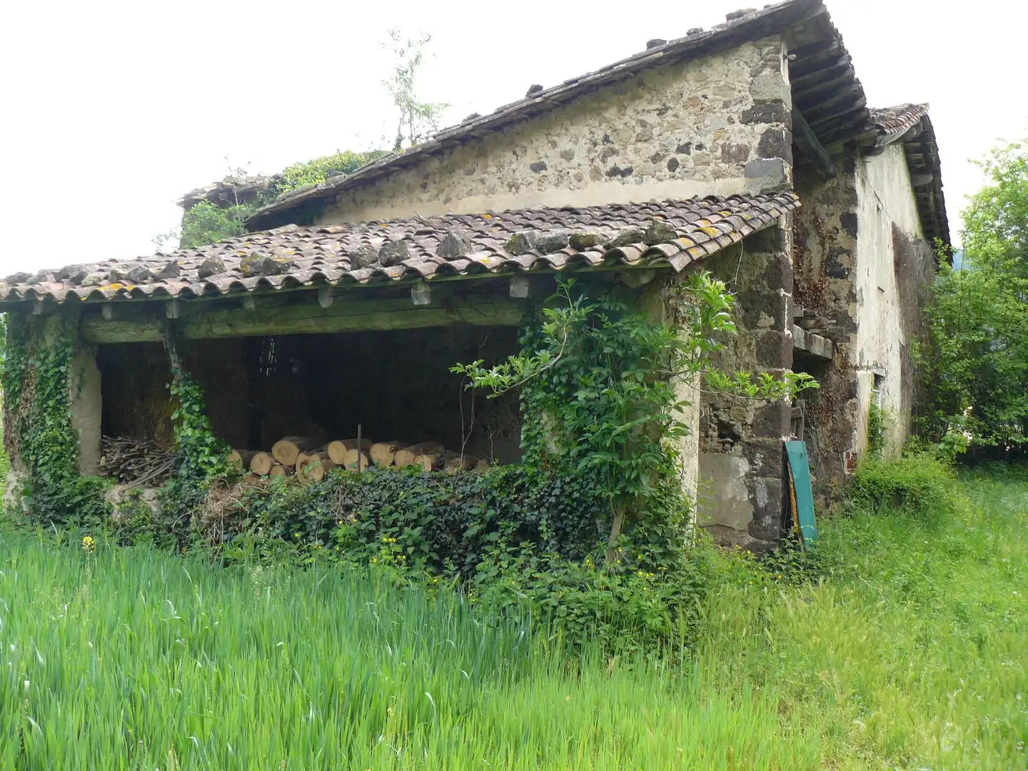 Vista exterior de Finca rústica en venta en Les Preses